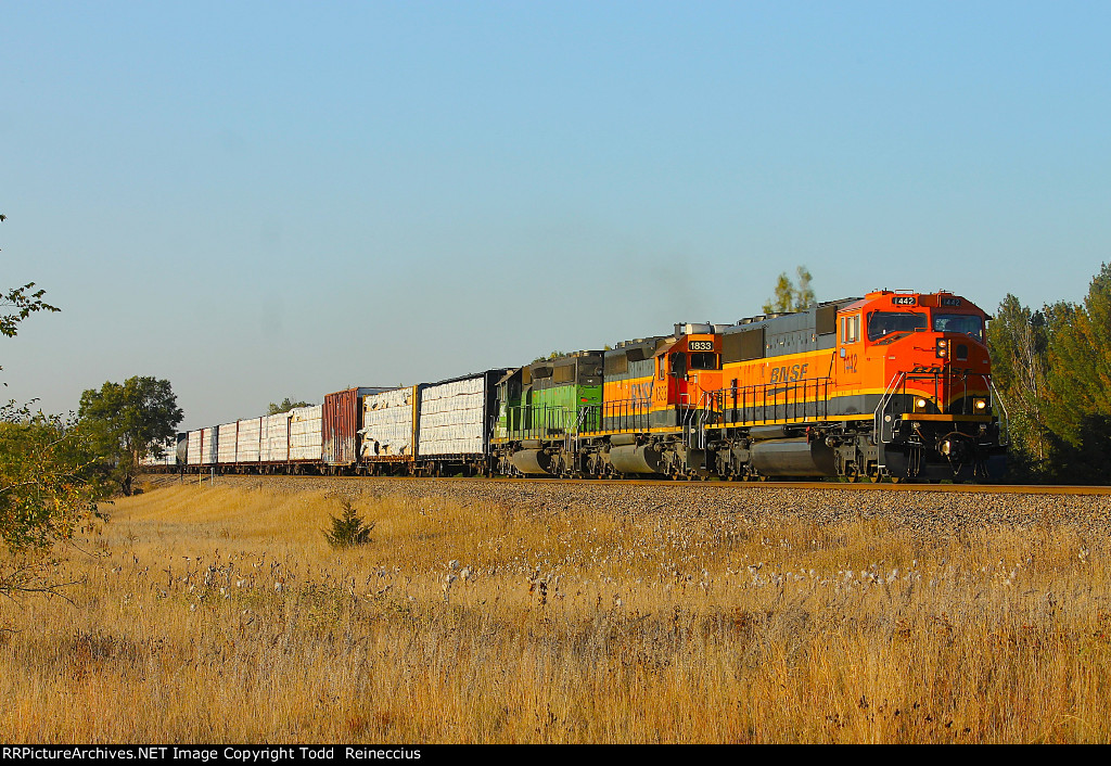 BNSF 1442